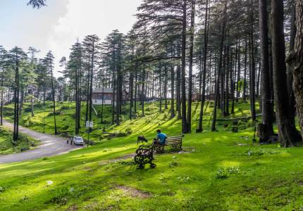 Divine Hills Tour: Amritsar to Patnitop via Katra