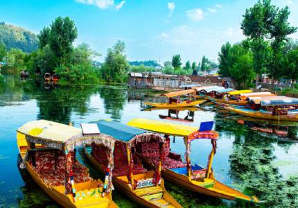 Srinagar Escape: Lakes, Gardens & Shikara Ride